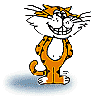 The KAT!