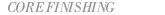 corefin.gif (1447 bytes)