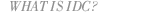 wiidc.gif (1333 bytes)