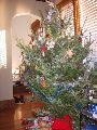 IMG_0001.JPG