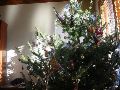 IMG_0013.JPG