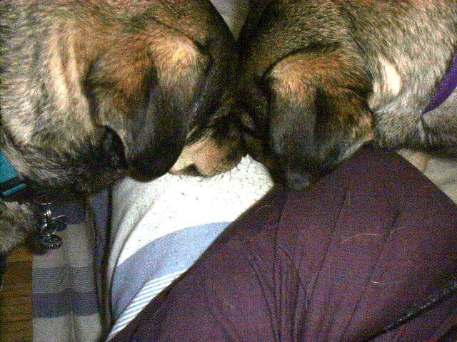 2heads.knee.jpeg