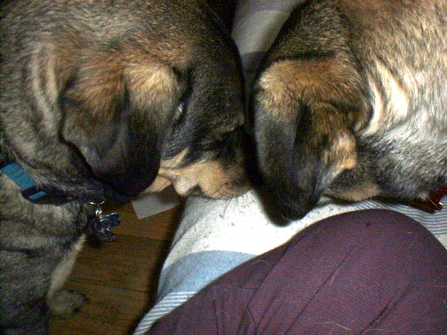 2heads.knee2