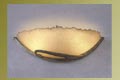 Botanica Sconce