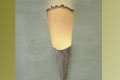 Olympiad Sconce