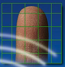 Fingerprint