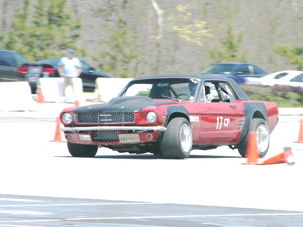 Photo Coutesy of TEAM WTF!?