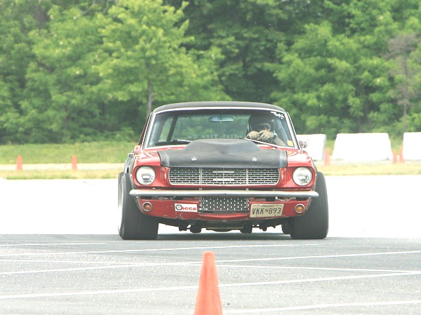 Photo Coutesy of TEAM WTF!?