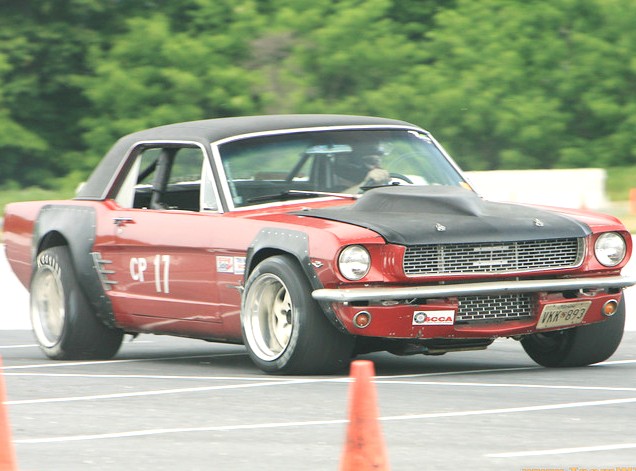 Photo Coutesy of TEAM WTF!?