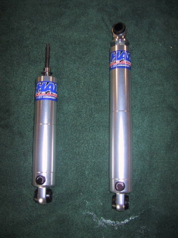 PICTURE of the Zebra, By Joshua Skinner