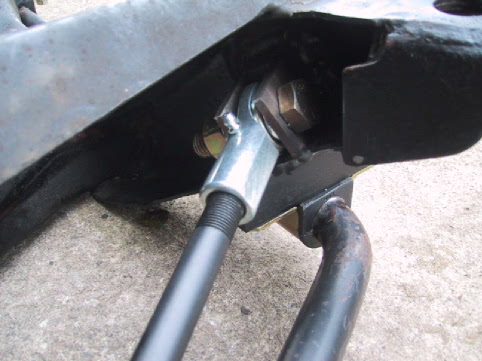 PICTURE of the Zebra, By Joshua Skinner