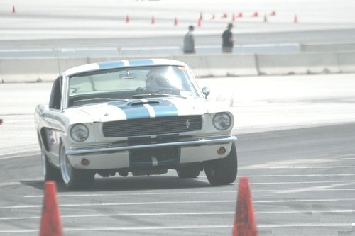 CP Second Photo by Team WTF?!