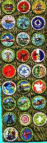 MY MERIT BADGE SASH