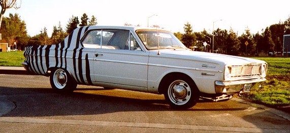 PICTURE of the Zebra, By Joshua Skinner