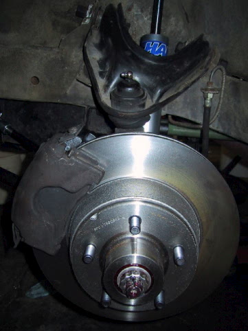 PICTURE of the Zebra, By Joshua Skinner