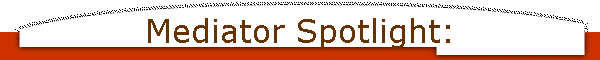 Mediator Spotlight: