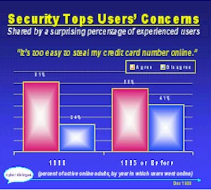 security.JPG (37010 bytes)