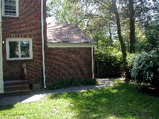 backyard pic before