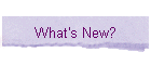 What's New?