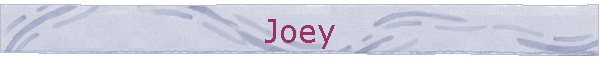 Joey
