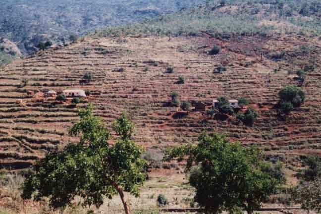 Samhutsa Hillside