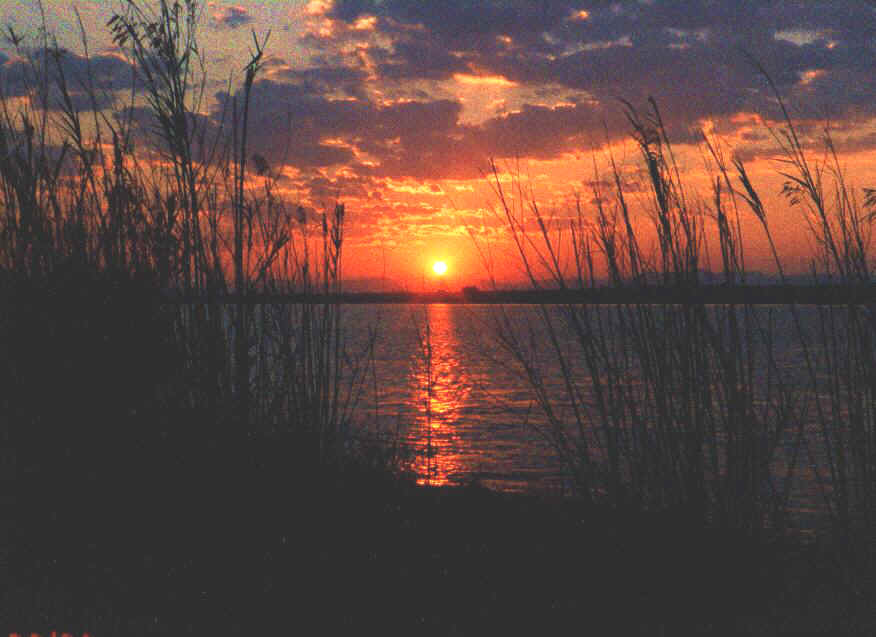 riverhrs4.jpg (73287 bytes)