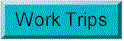 Working Trips