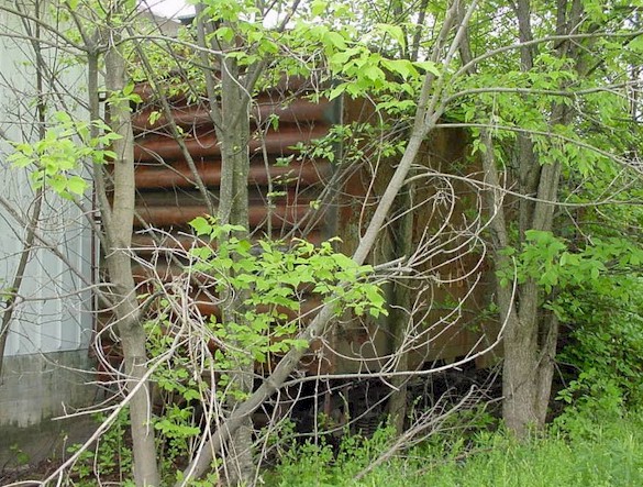 Rutland 445