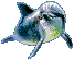 dolphin2