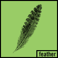 feather