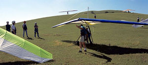 A
gaggle of gliders