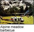 Alpine meadow barbecue in the Canadian Rockies