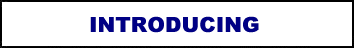 SAFETY SEAL PLUS  LIQUID PATCH TIRE REPAIR KITS