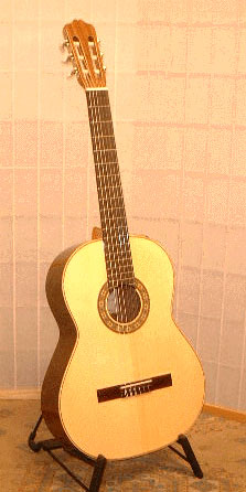 Antonio aparicio guitar on sale