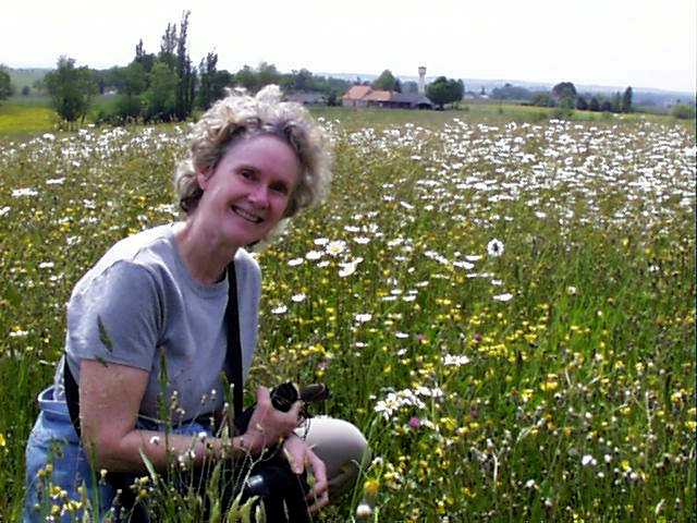 Debby and wildflowers