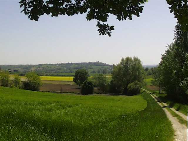 The road