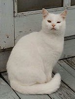 Kat in Isleboro, Maine