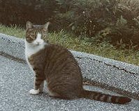 Sepia, in Litchfield County, CT