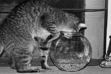 Jebu Gone Fishin' - &copy; 1998 tdiann@ct2.nai.net