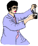 ginger lab tech named Ginger