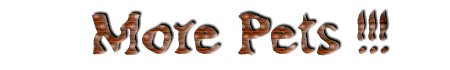 More Pets !!!