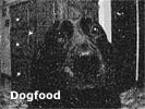 Dogfood