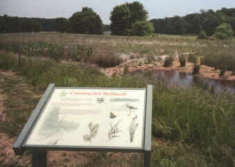 Wetlands