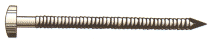 p56.gif (3227 bytes)
