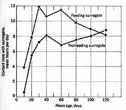 Graph of 'Contact Time with Surrogates'